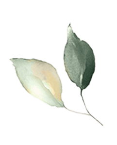 leaf04