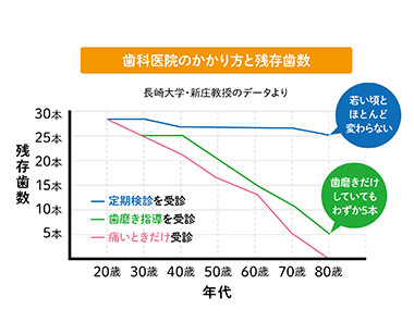 歯科医院のかかり方と残存歯数